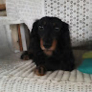 Meet your Posher, Roberta